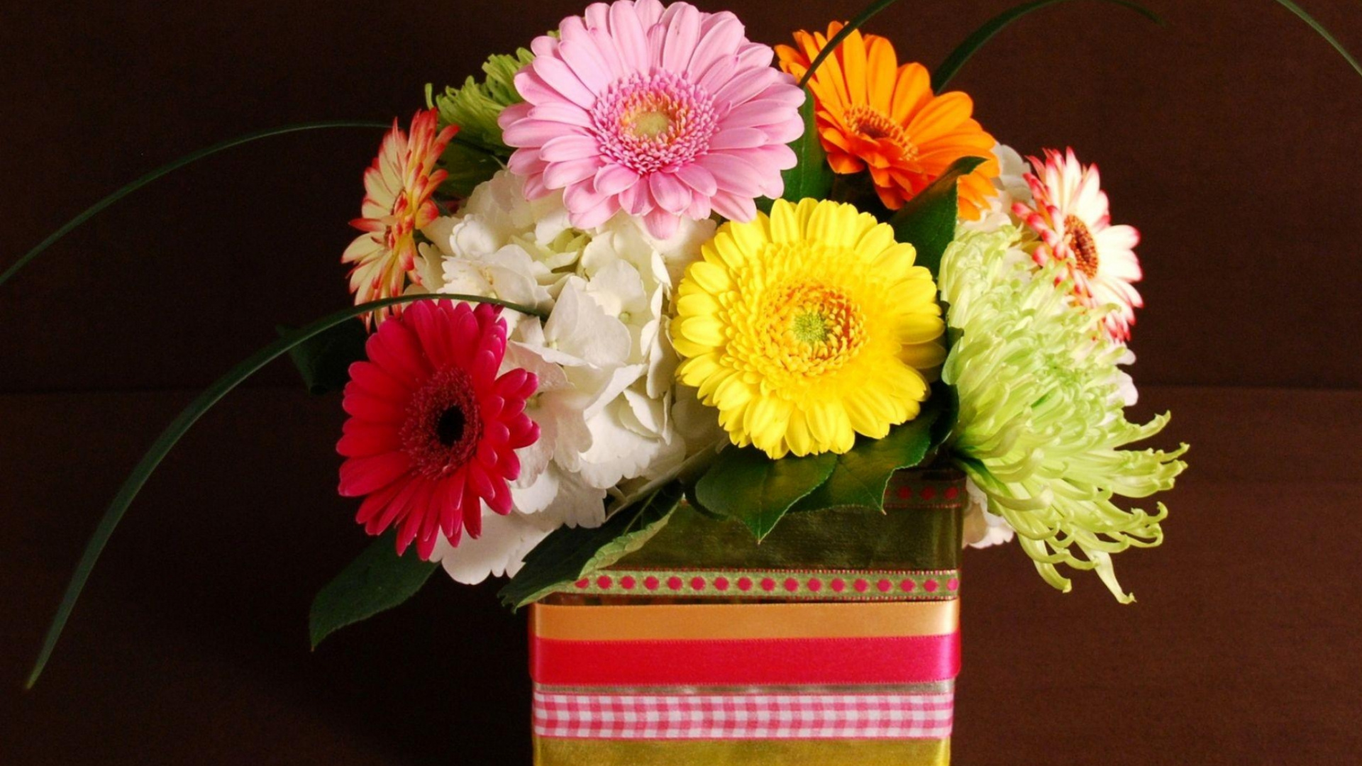 Pink and White Flowers in Red and Green Box. Wallpaper in 1920x1080 Resolution