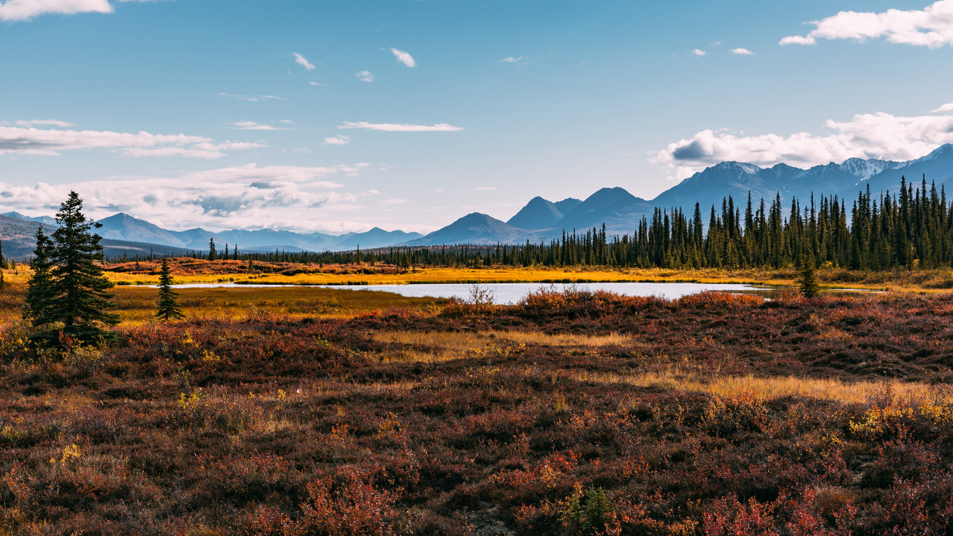 Green Grass Field Near Lake Under Blue Sky During Daytime. Wallpaper in 1366x768 Resolution