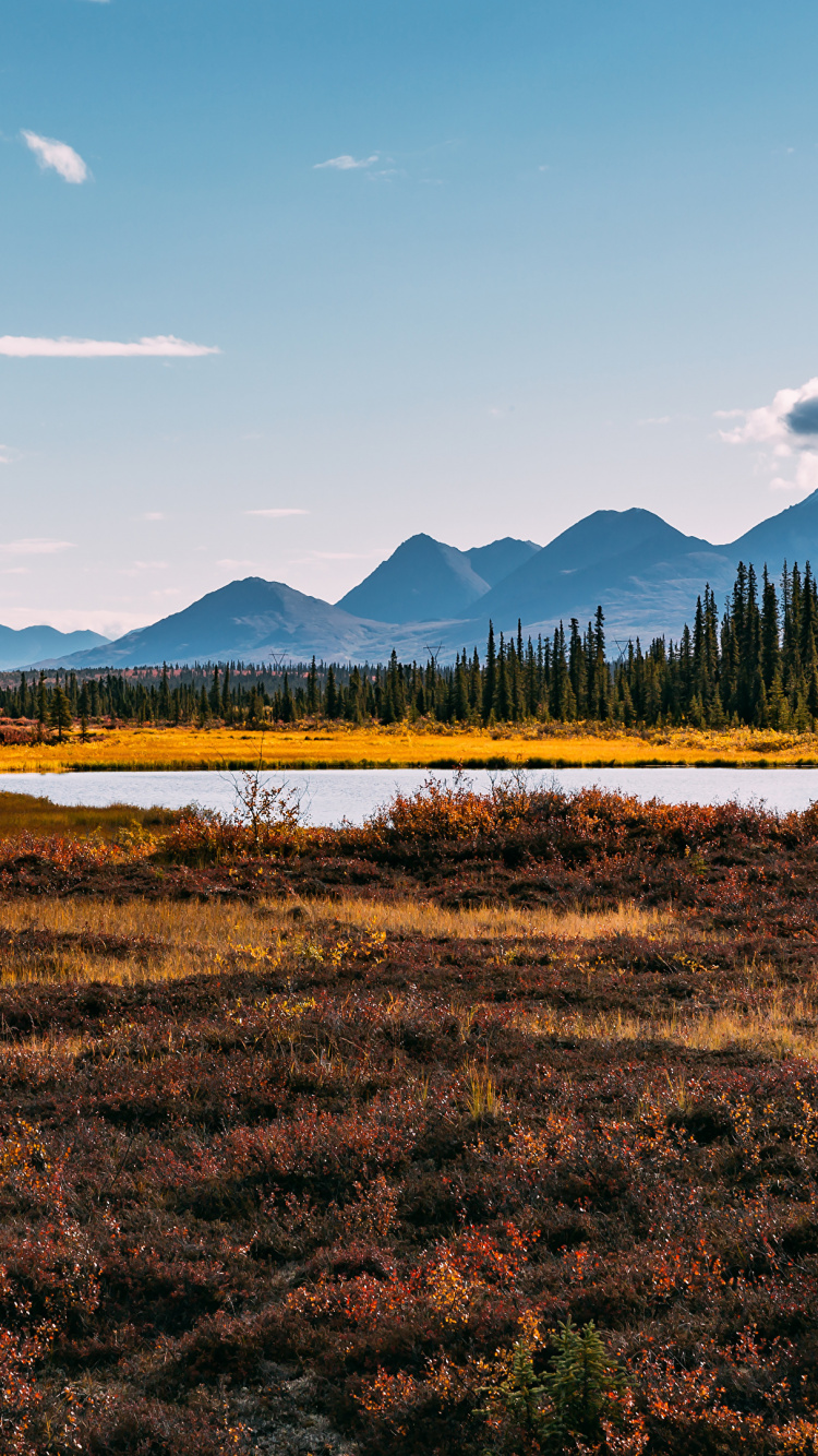 Grüne Wiese in Der Nähe Des Sees Unter Blauem Himmel Tagsüber. Wallpaper in 750x1334 Resolution
