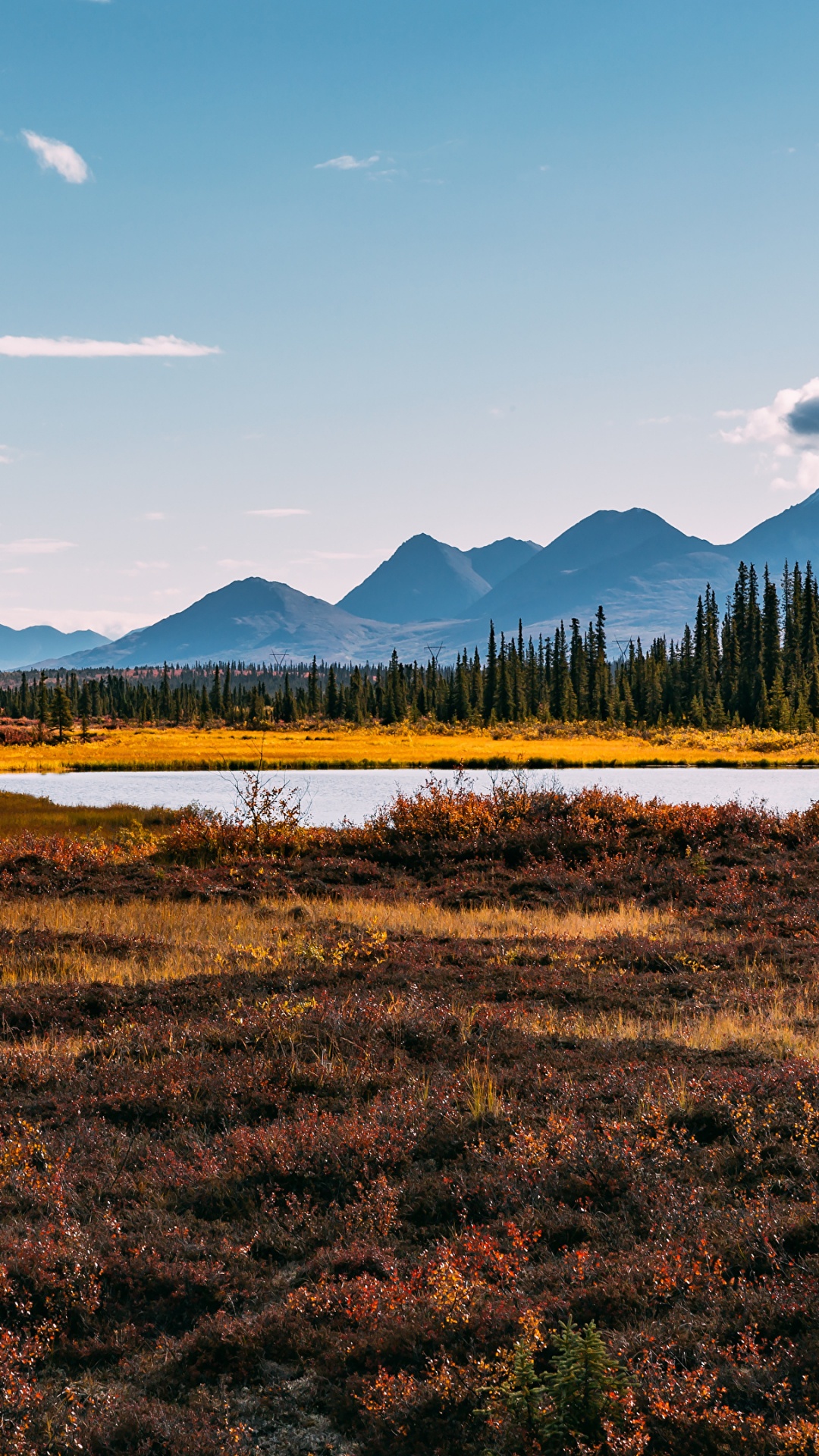 Campo de Hierba Verde Cerca Del Lago Bajo un Cielo Azul Durante el Día. Wallpaper in 1080x1920 Resolution