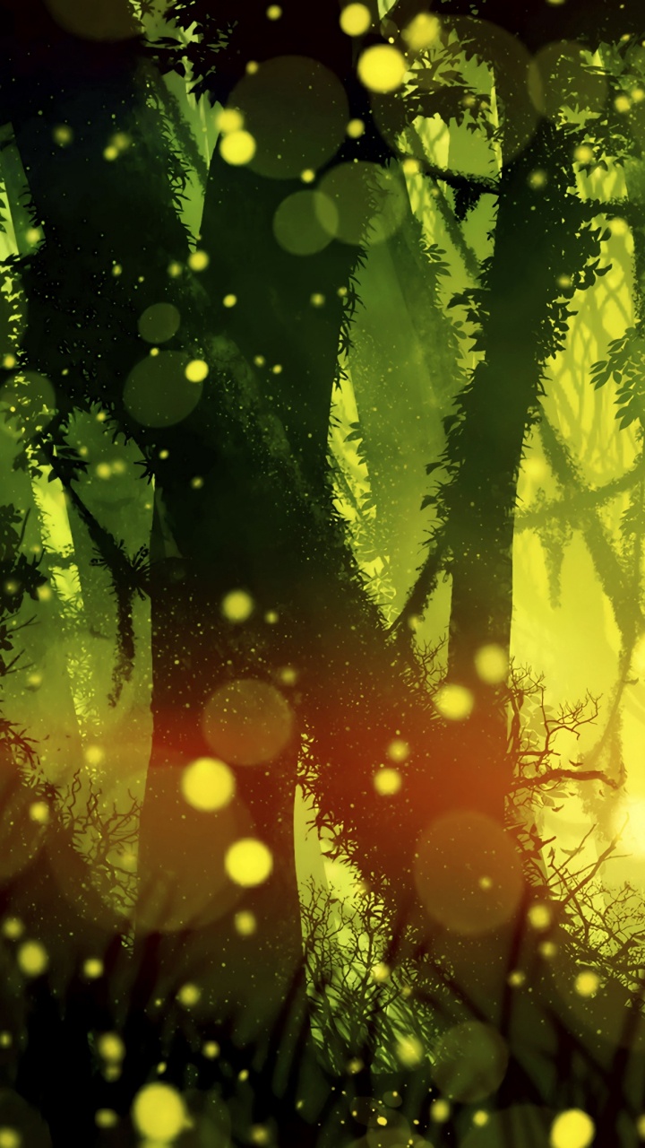 Planta Verde Con Gotas de Agua. Wallpaper in 720x1280 Resolution