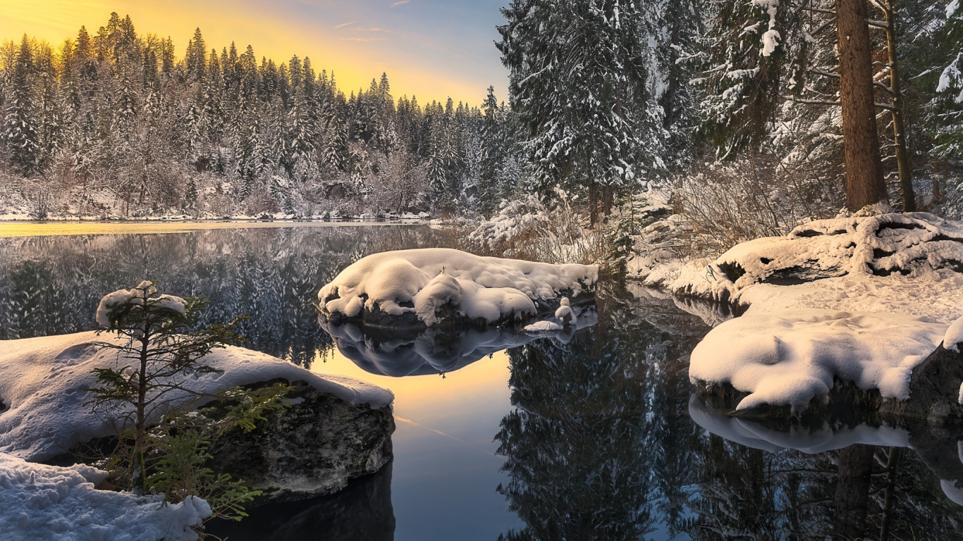 Arbres Couverts de Neige à Côté de la Rivière Pendant la Journée. Wallpaper in 1366x768 Resolution
