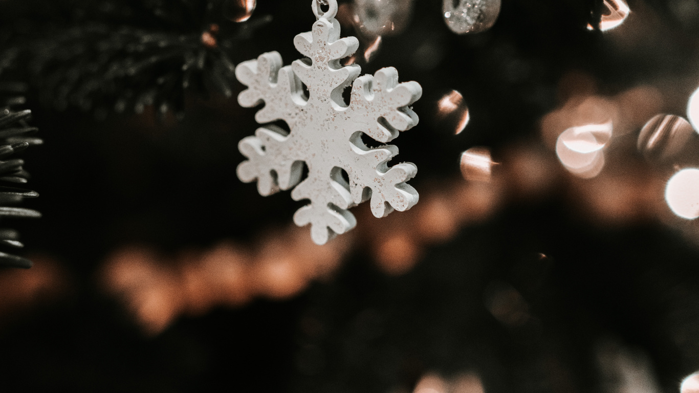 Neige, Feuille, Ciel, Usine, Ornement de Noël. Wallpaper in 1366x768 Resolution