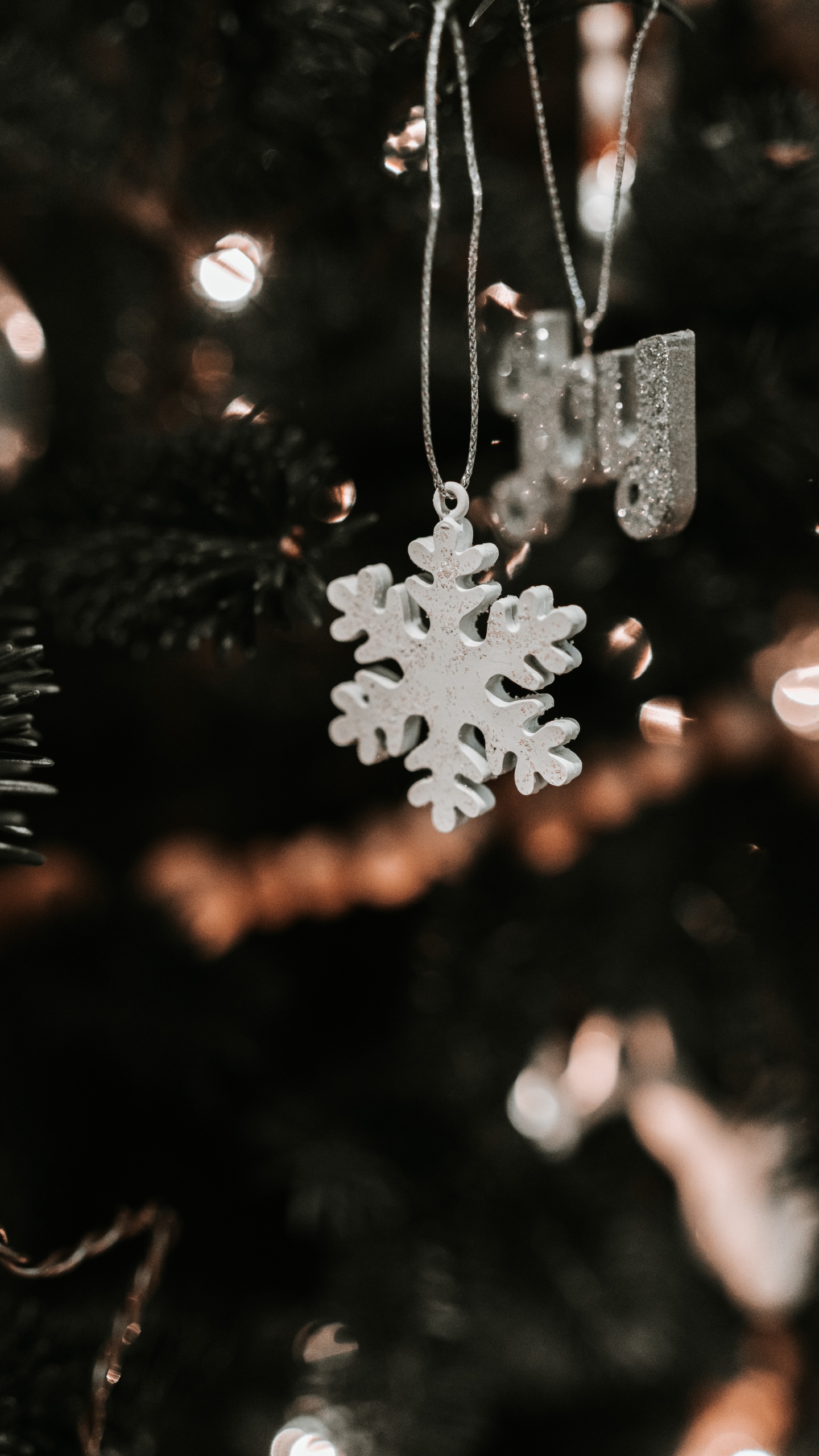 Neige, Feuille, Ciel, Usine, Ornement de Noël. Wallpaper in 1440x2560 Resolution