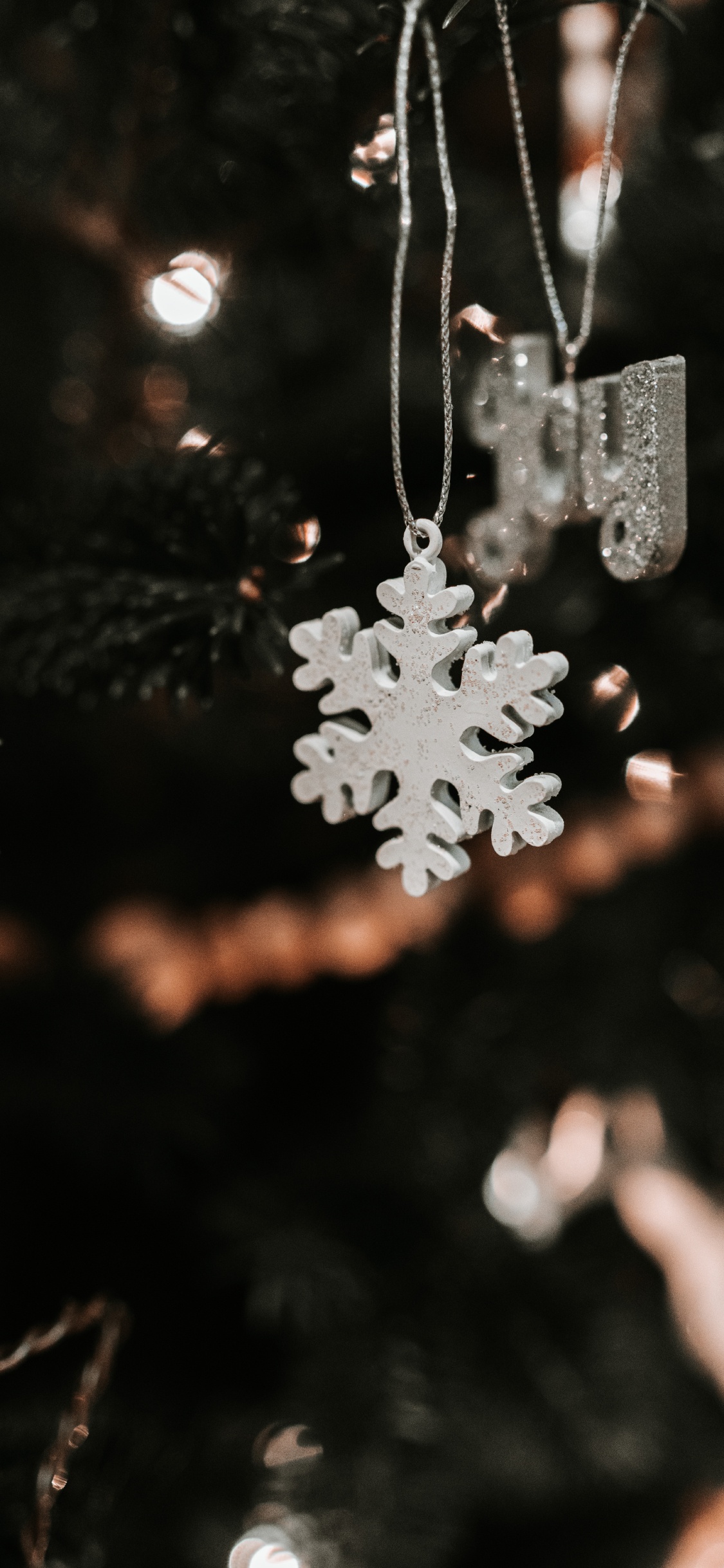 Nieve, Navidad, Fábrica, Adorno de Navidad, Accesorio de Moda. Wallpaper in 1125x2436 Resolution