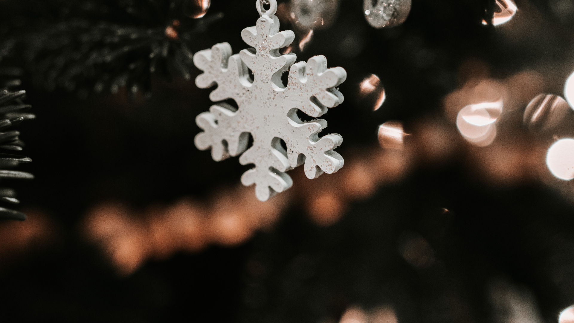 Nieve, Navidad, Fábrica, Adorno de Navidad, Accesorio de Moda. Wallpaper in 1920x1080 Resolution