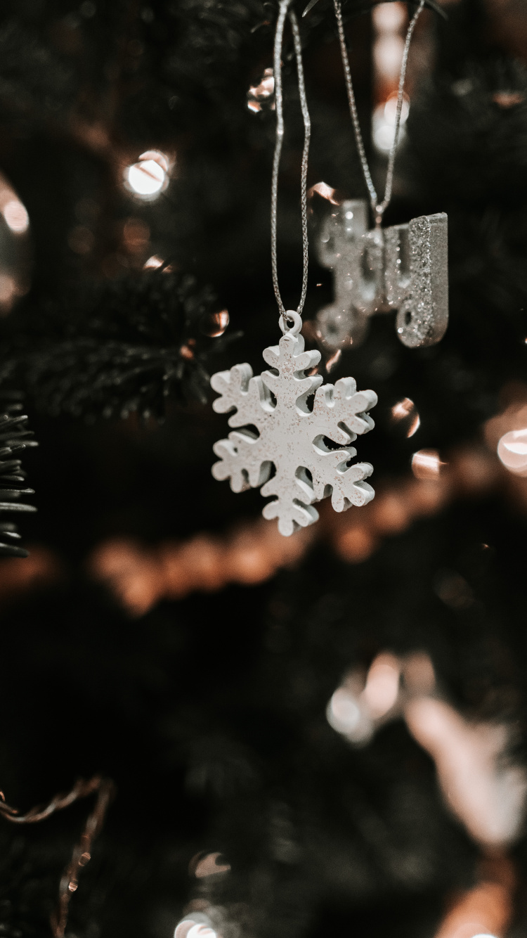 Nieve, Navidad, Fábrica, Adorno de Navidad, Accesorio de Moda. Wallpaper in 750x1334 Resolution