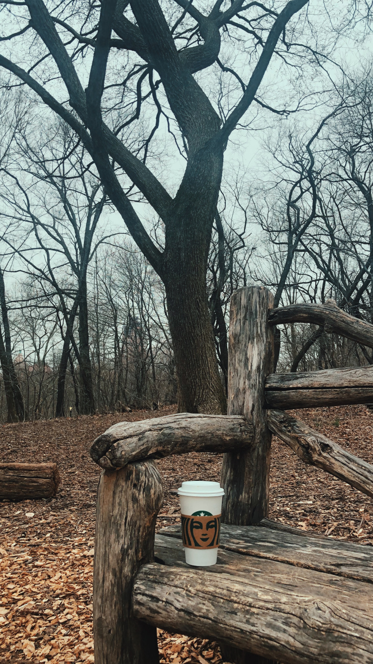 Tree, Wood, Science, Biology, Branch. Wallpaper in 750x1334 Resolution