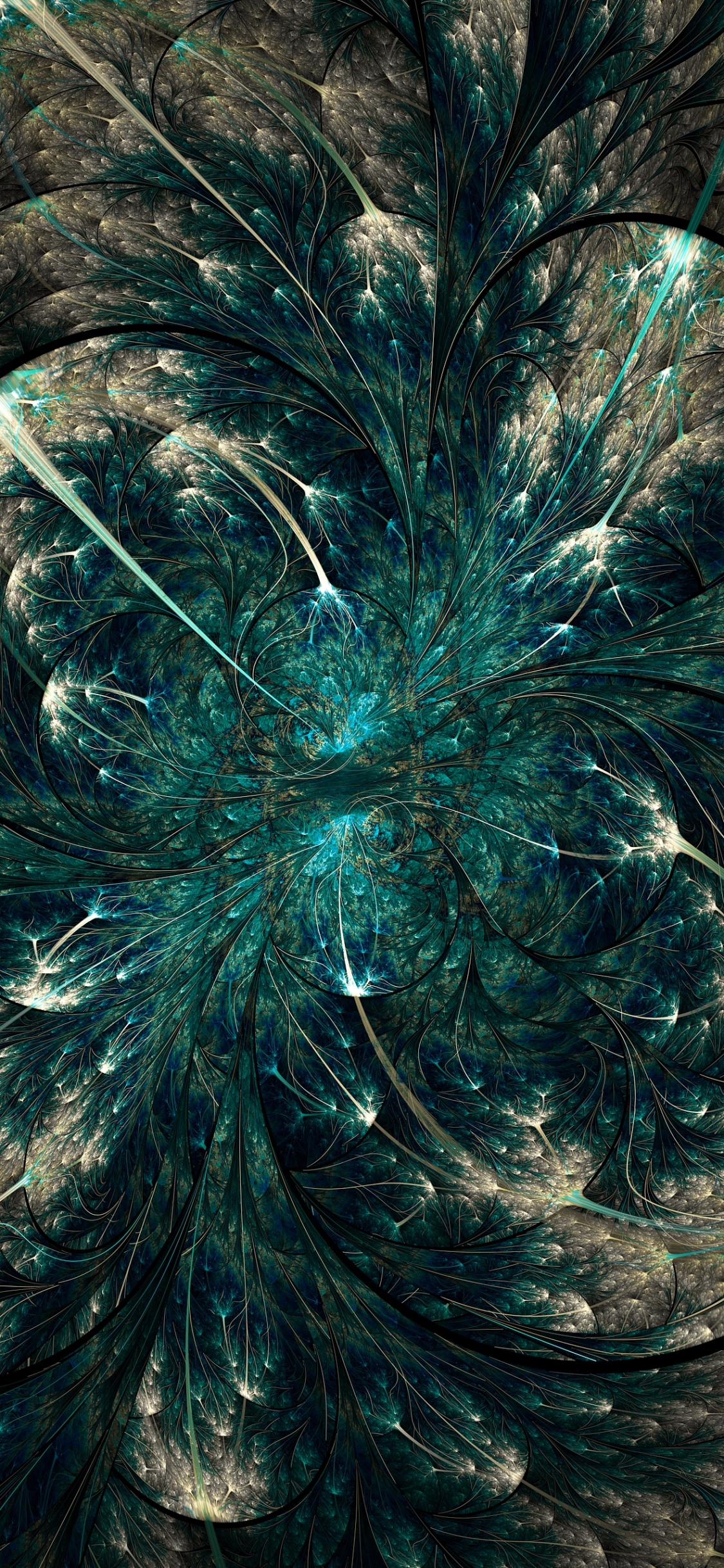 Blue and White Feather on Brown Soil. Wallpaper in 1125x2436 Resolution