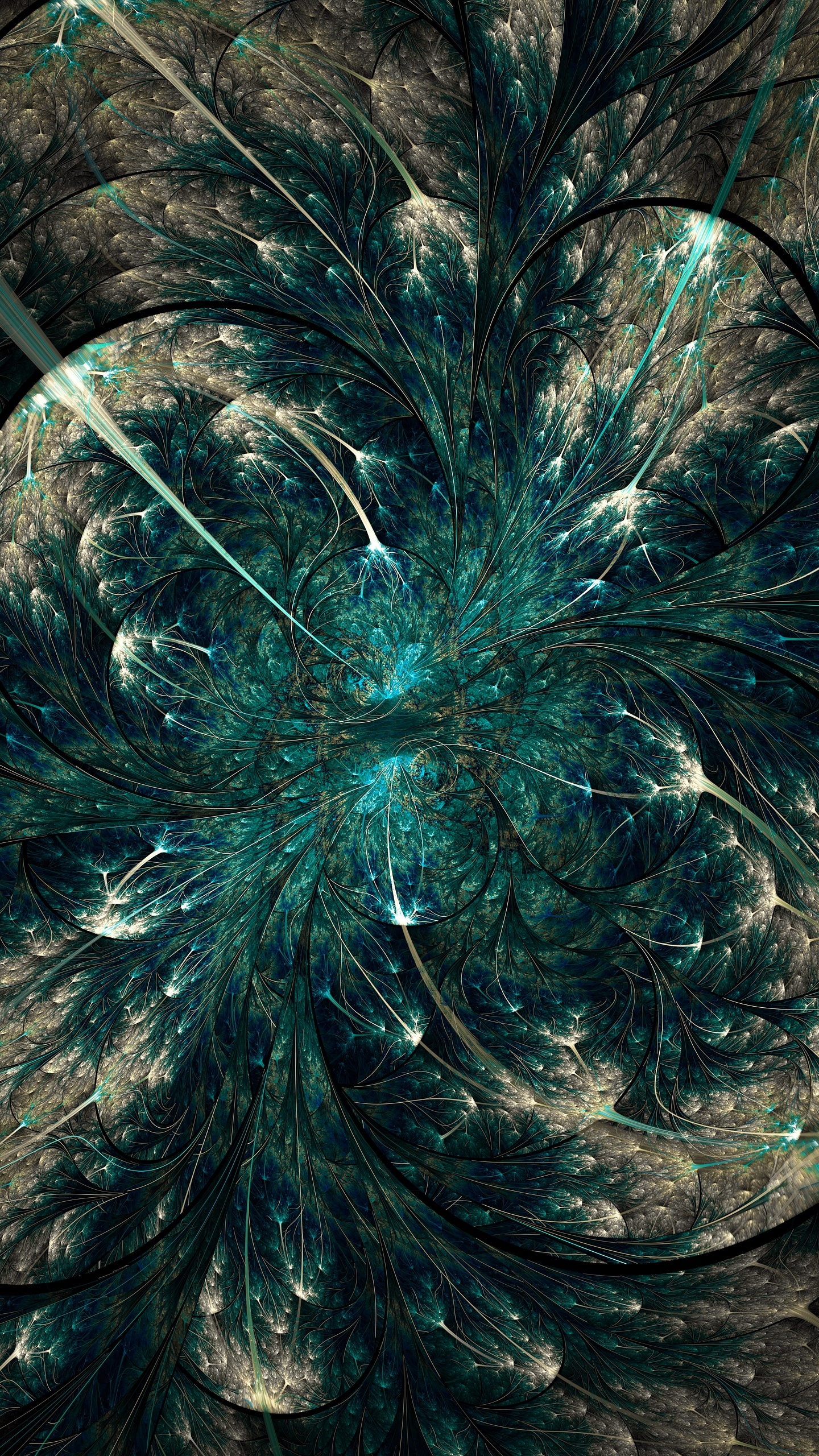 Blue and White Feather on Brown Soil. Wallpaper in 1440x2560 Resolution