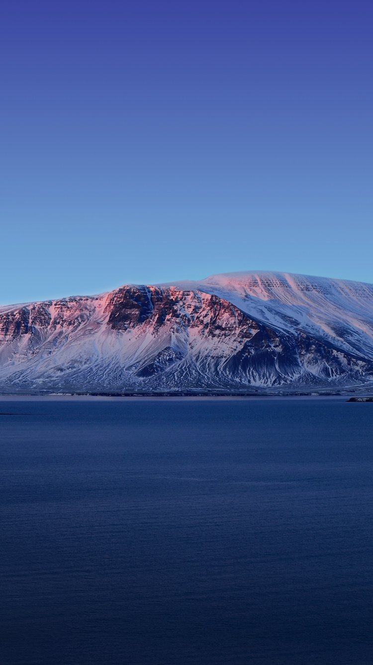 Vivo, Vivo NEX Dual Display, Vivo Nex, Äpfeln, Android. Wallpaper in 750x1334 Resolution