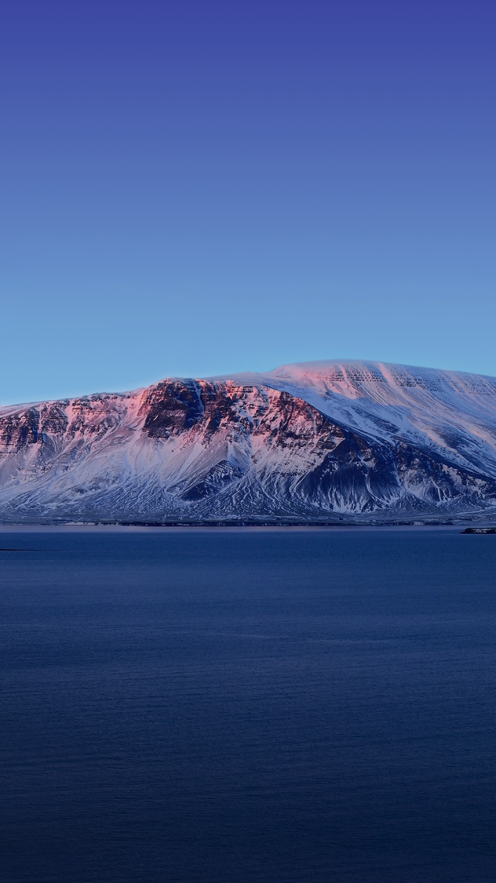 Vivo, Vivo NEX Dual Display, Vivo Nex, 苹果, 安卓 壁纸 720x1280 允许