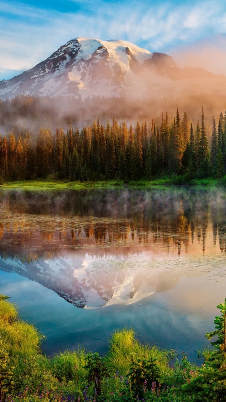 el Monte Rainier, Naturaleza, Paisaje Natural, Reflexión, Desierto. Wallpaper in 720x1280 Resolution