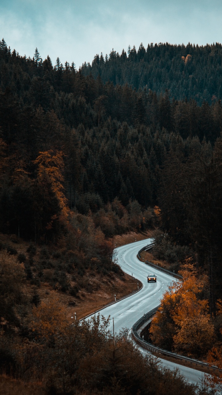 Camino en Medio de Arboles. Wallpaper in 720x1280 Resolution