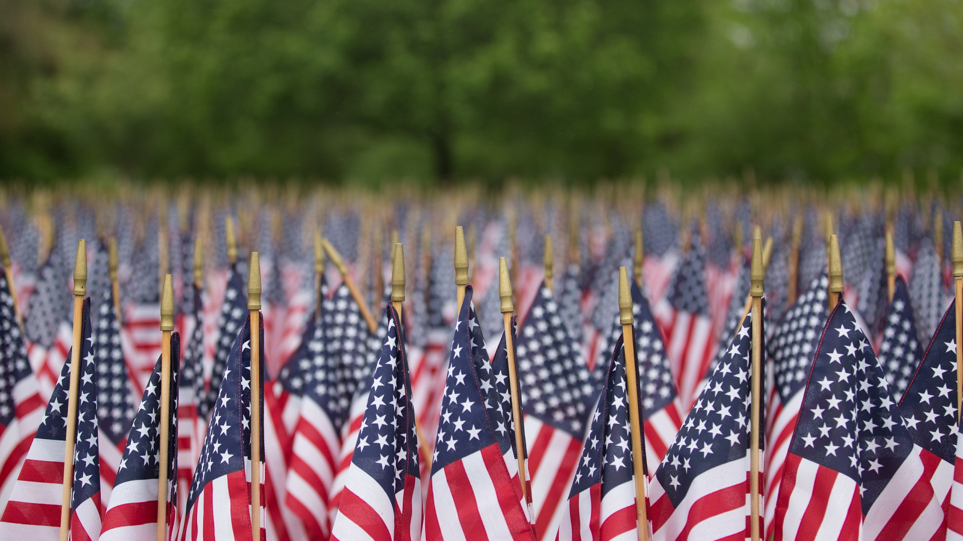us a Flags in The Field. Wallpaper in 1920x1080 Resolution