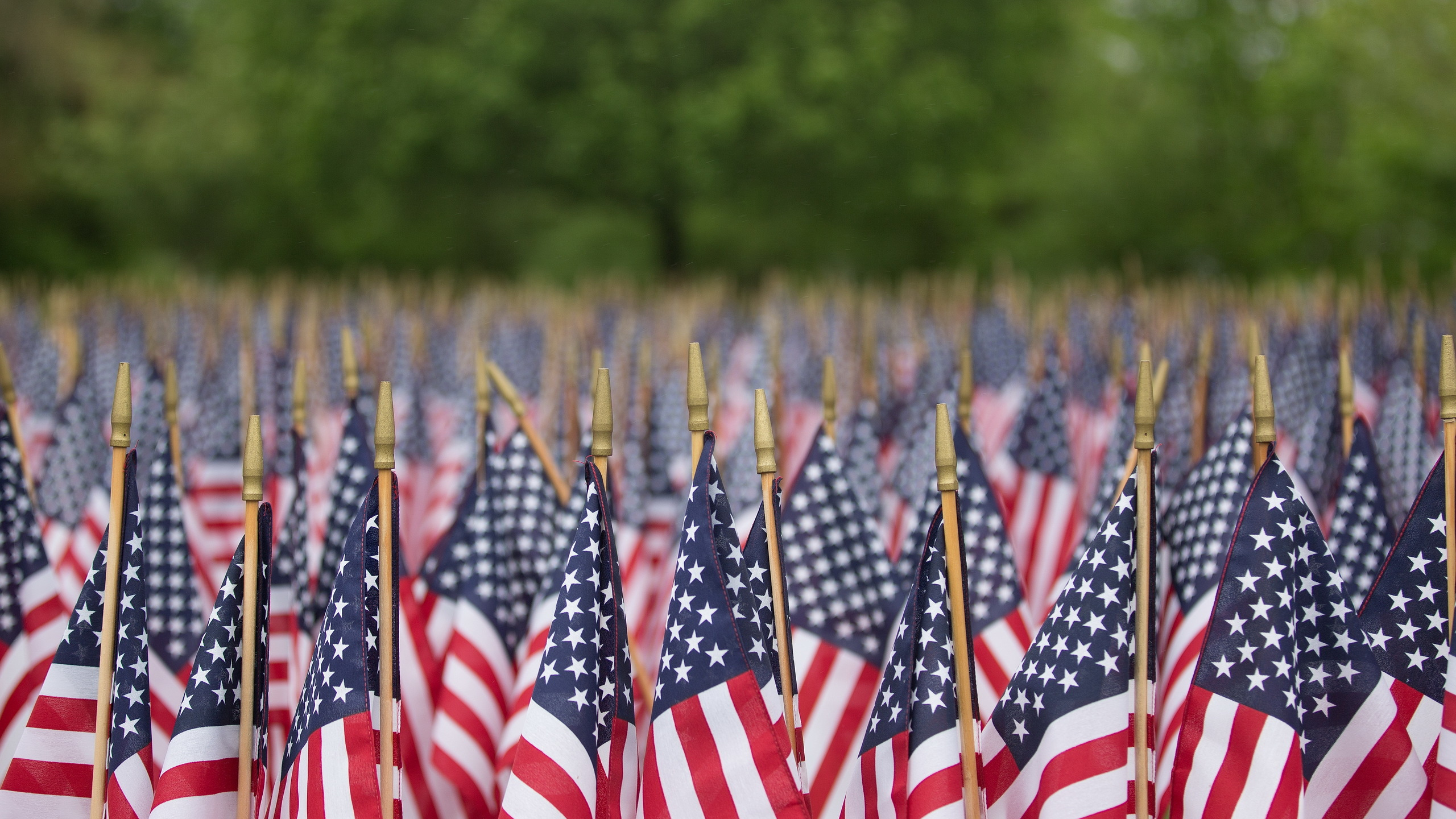 Nous un Drapeaux Sur le Terrain. Wallpaper in 2560x1440 Resolution