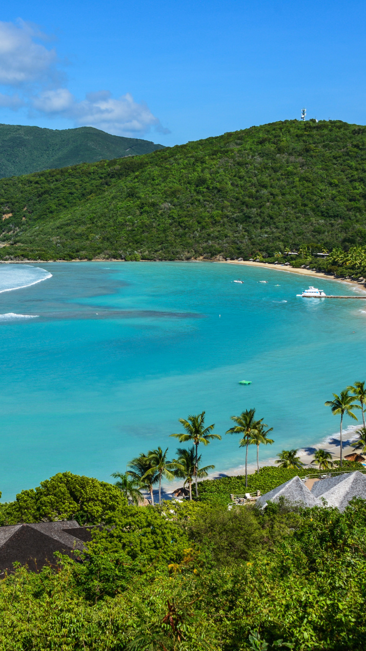 Green Trees Near Blue Sea During Daytime. Wallpaper in 750x1334 Resolution