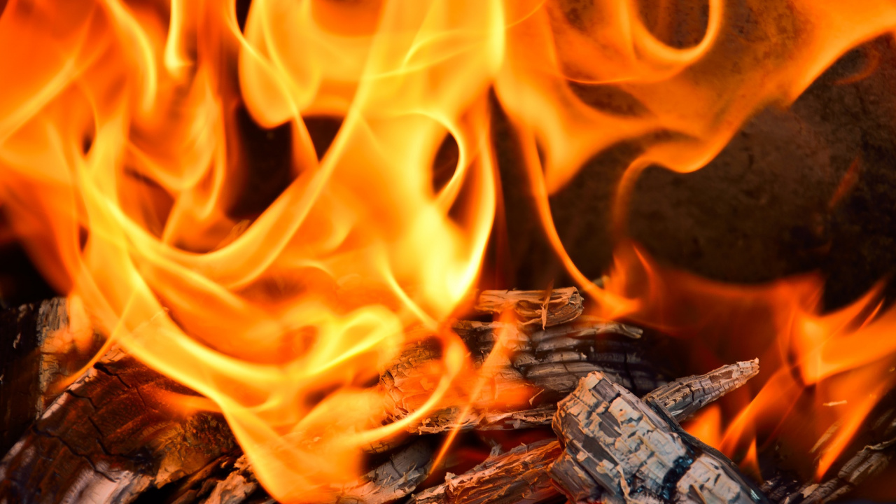 Feu Sur Une Bûche en Bois Marron. Wallpaper in 1280x720 Resolution