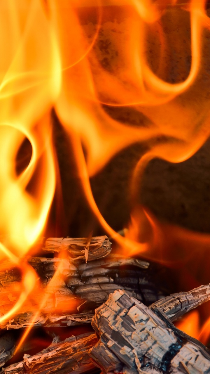 Feu Sur Une Bûche en Bois Marron. Wallpaper in 720x1280 Resolution