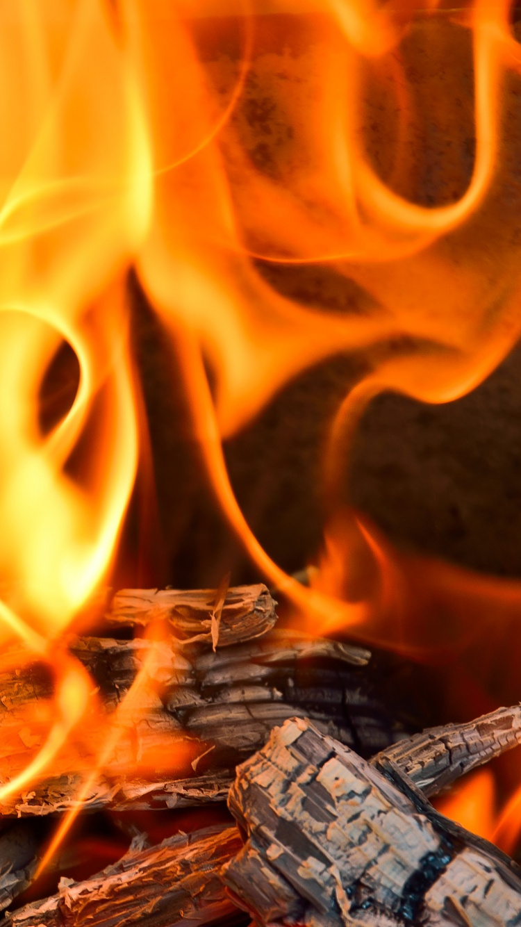 Fuego en Tronco de Madera Marrón. Wallpaper in 750x1334 Resolution