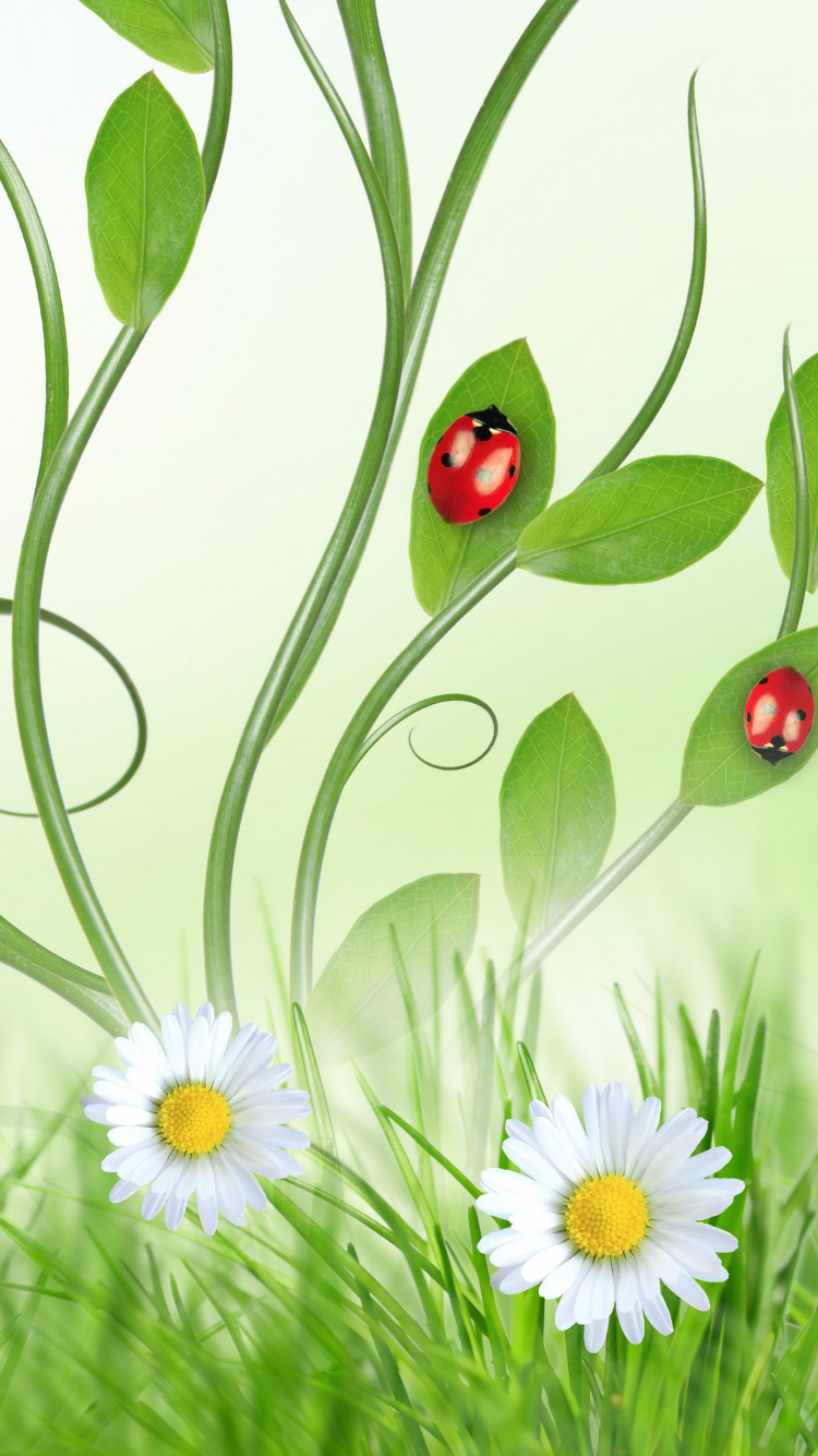 Téléphone, Huawei y6 2019, Botanique, Les Gens Dans la Nature, Pétale. Wallpaper in 750x1334 Resolution