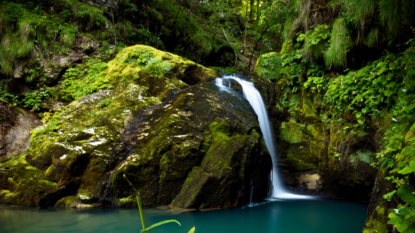 Musgo Verde en la Montaña Rocosa Junto al Río Durante el Día. Wallpaper in 1366x768 Resolution