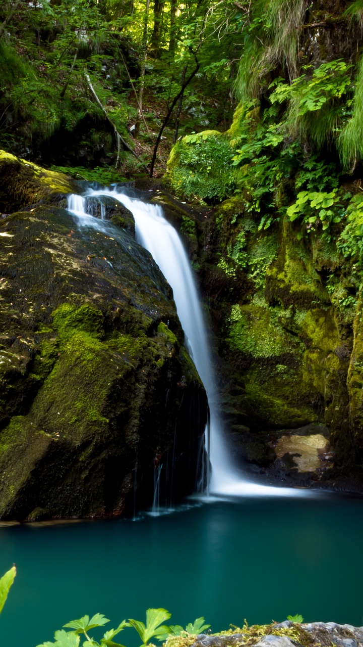性质, 人体内的水, 水资源, 植被, 自然保护区 壁纸 720x1280 允许