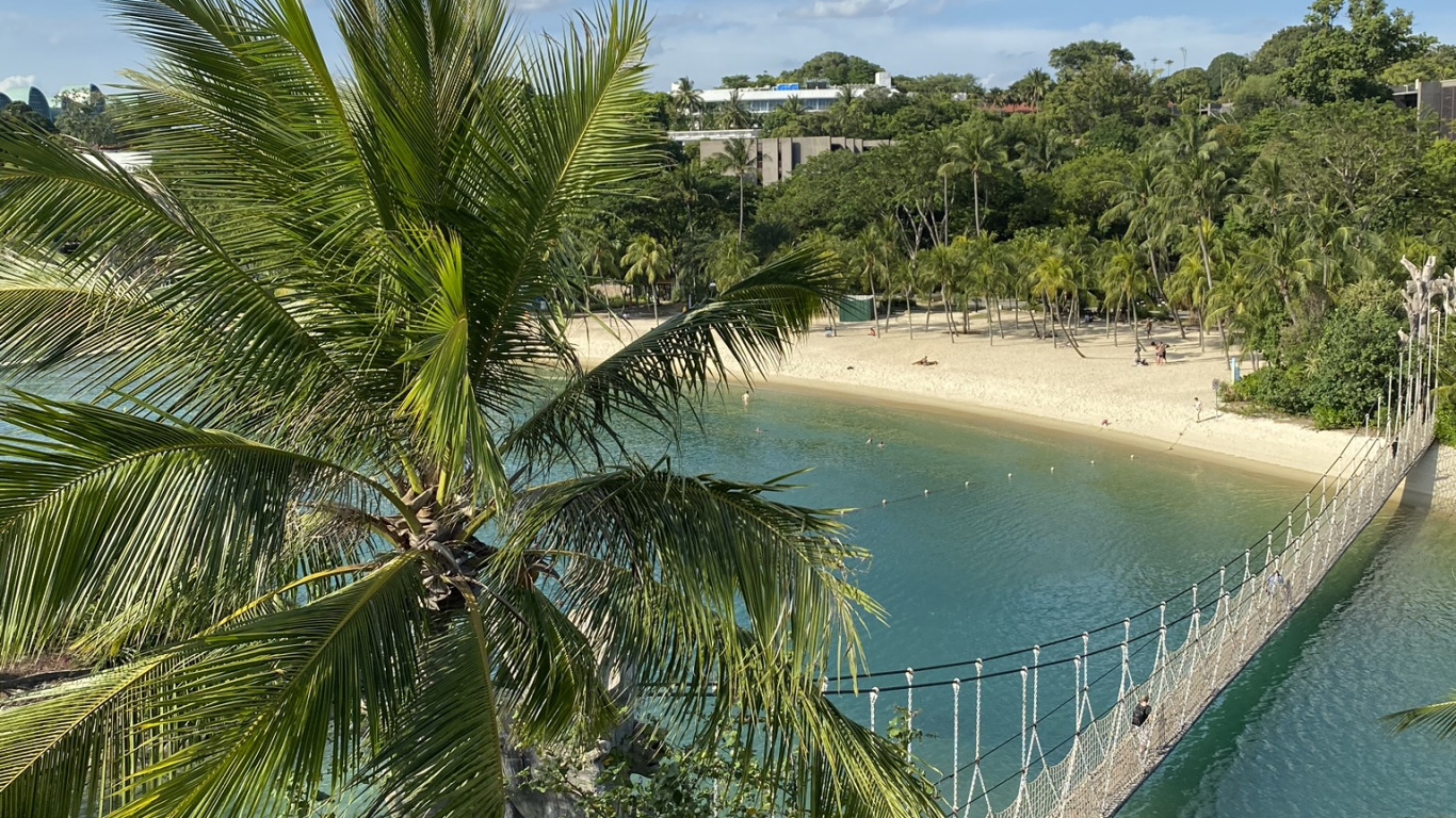 植被, 棕榈树, 生物学, 人体内的水, 性质 壁纸 1366x768 允许