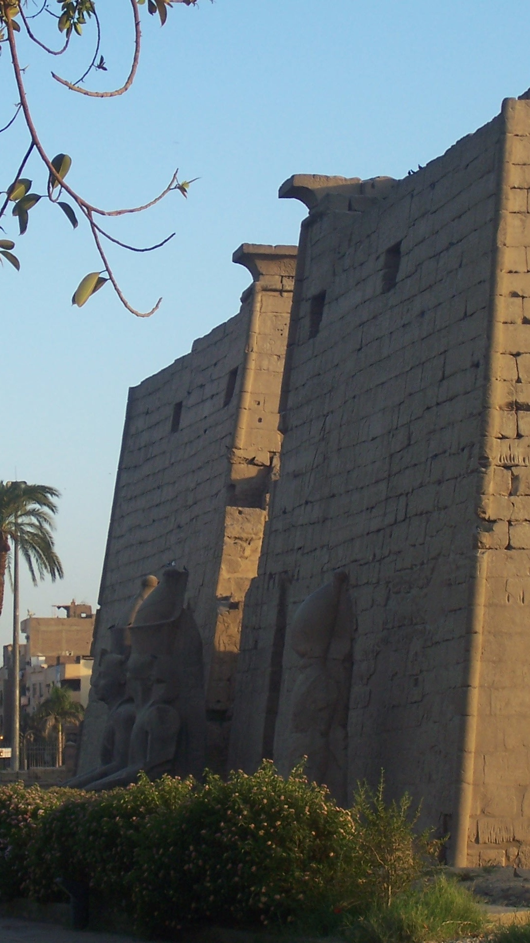 Braunes Betongebäude in Der Nähe Von Grünen Bäumen Tagsüber. Wallpaper in 1080x1920 Resolution