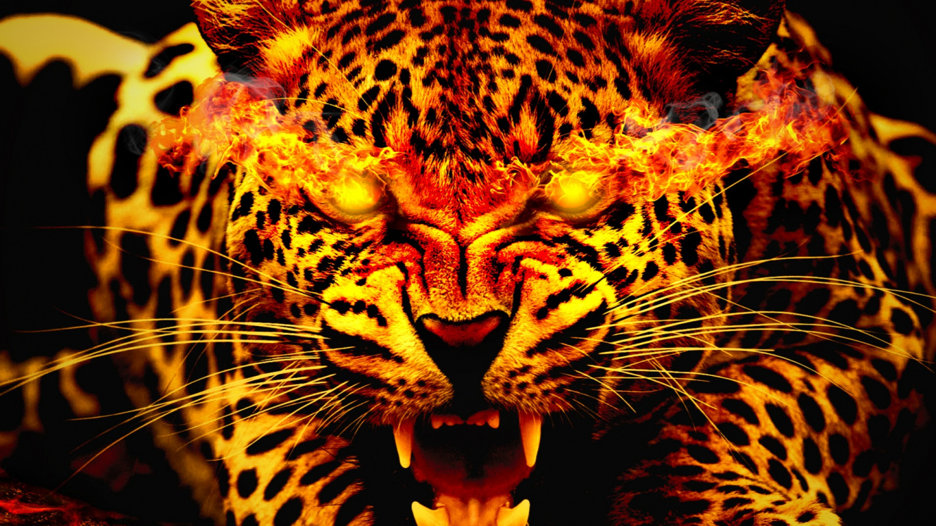 Jaguar Tier, Jaguar, Leopard, Tiger, Felidae. Wallpaper in 1366x768 Resolution