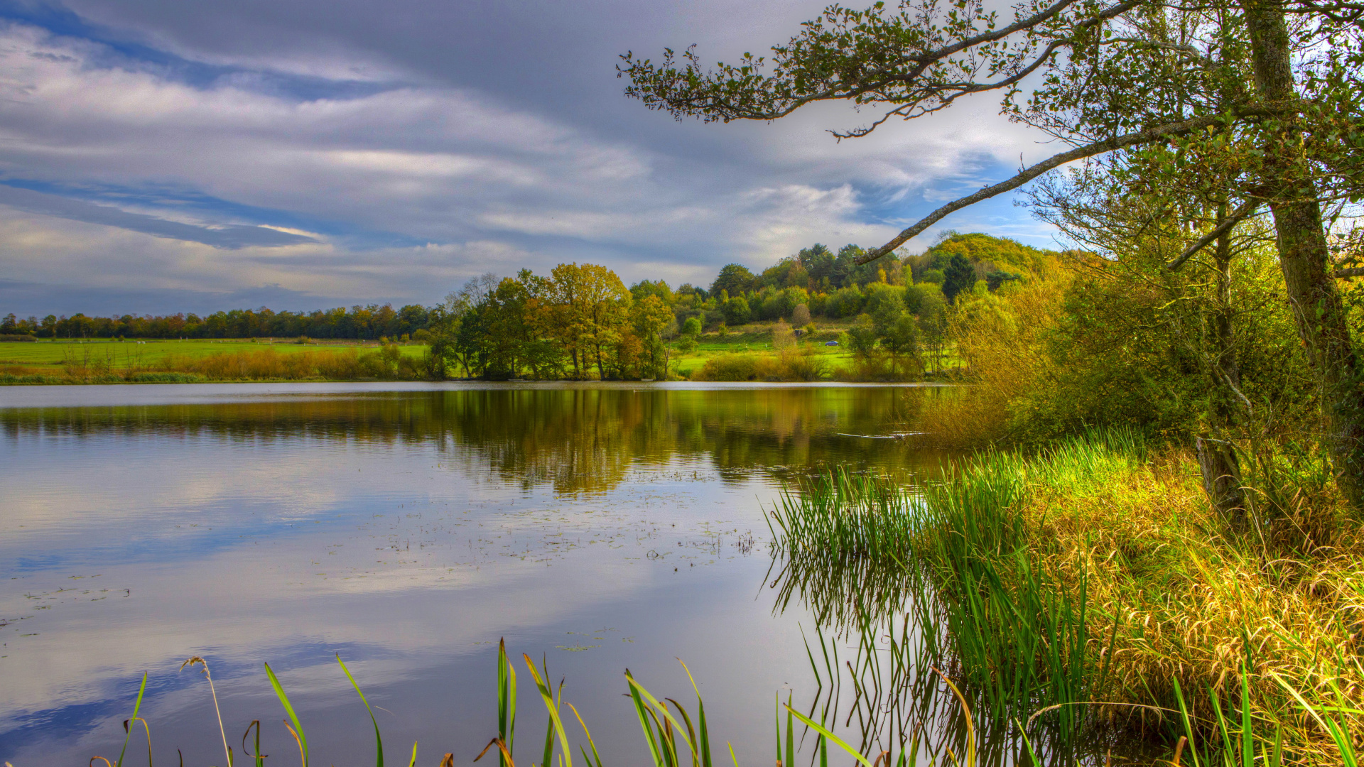 Green Grass Near Lake Under Blue Sky During Daytime. Wallpaper in 1920x1080 Resolution