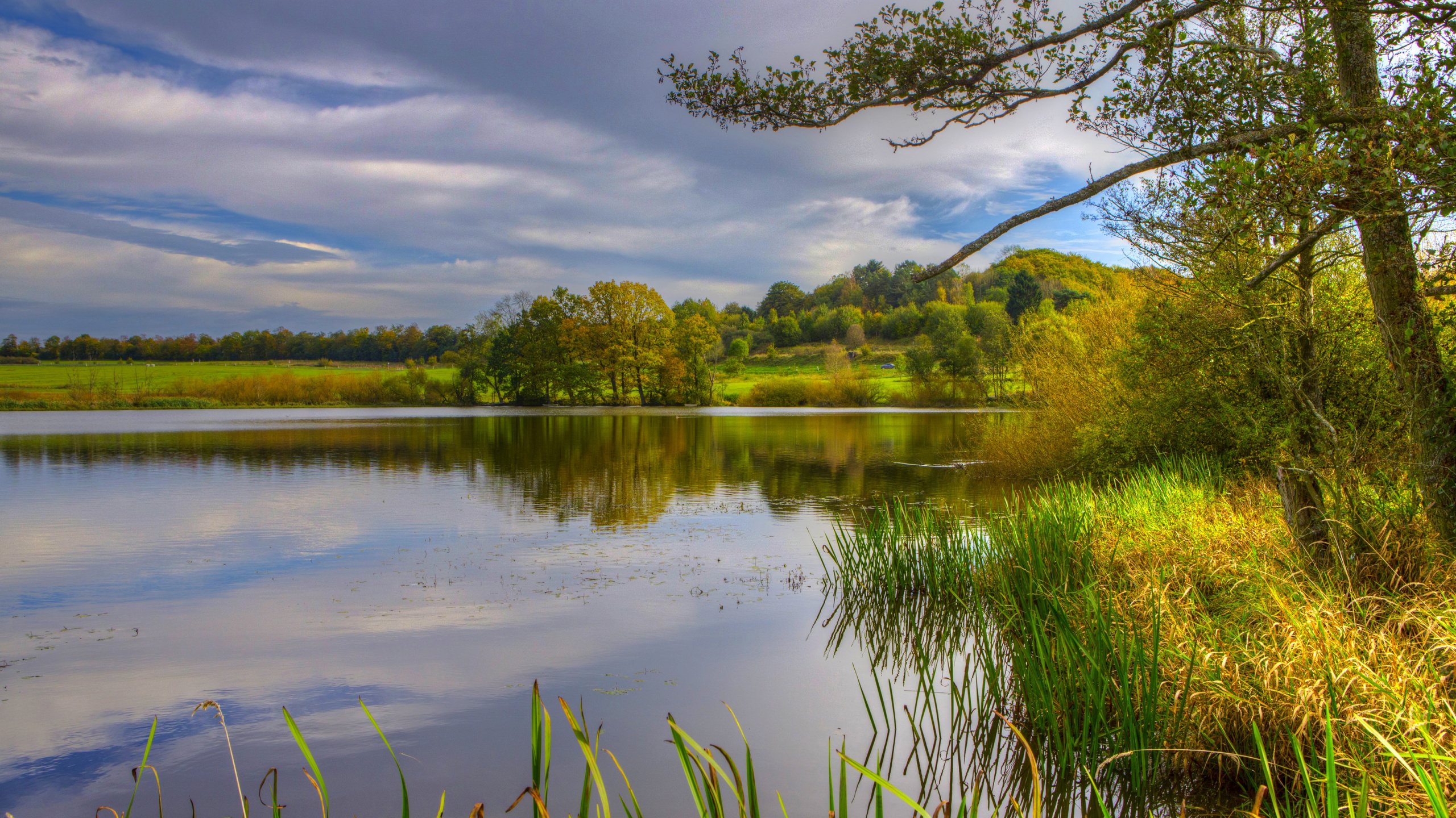 Green Grass Near Lake Under Blue Sky During Daytime. Wallpaper in 2560x1440 Resolution