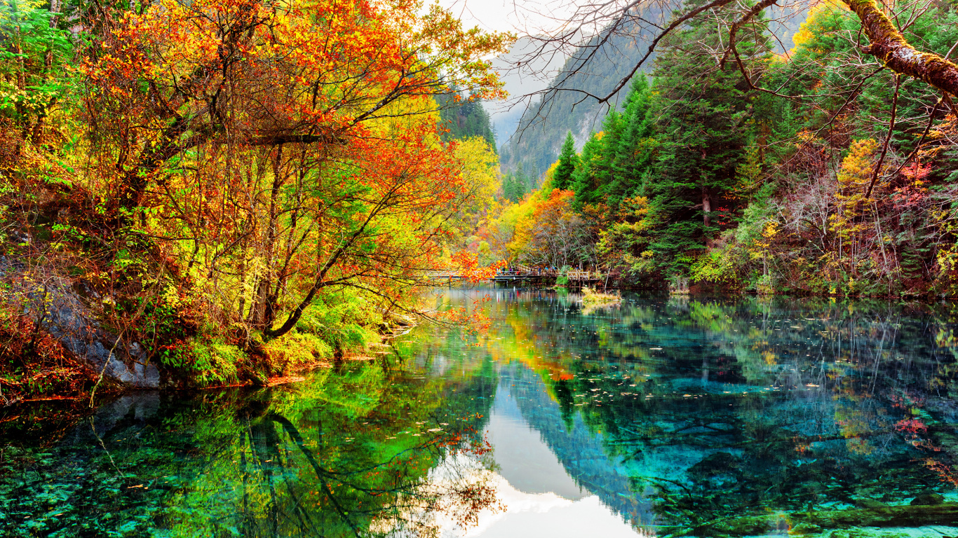 Green Trees Beside River During Daytime. Wallpaper in 1366x768 Resolution