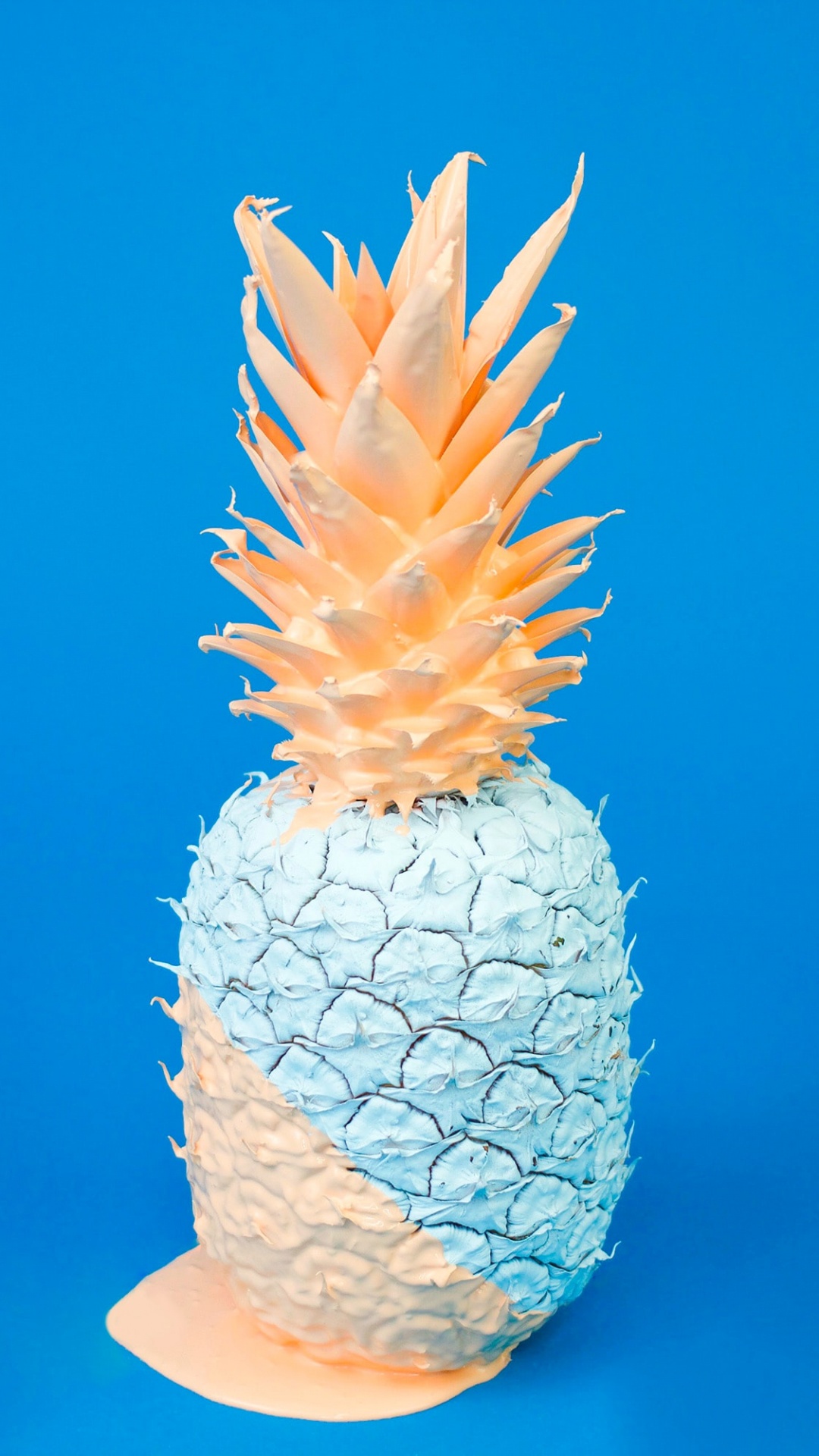 Bodegón Fácil, Todavía la Vida, Material Natural, Planta Terrestre, Cono. Wallpaper in 1080x1920 Resolution