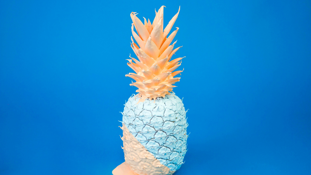 Easy Still Life, Still Life, Painting, Plant, Natural Material. Wallpaper in 1280x720 Resolution