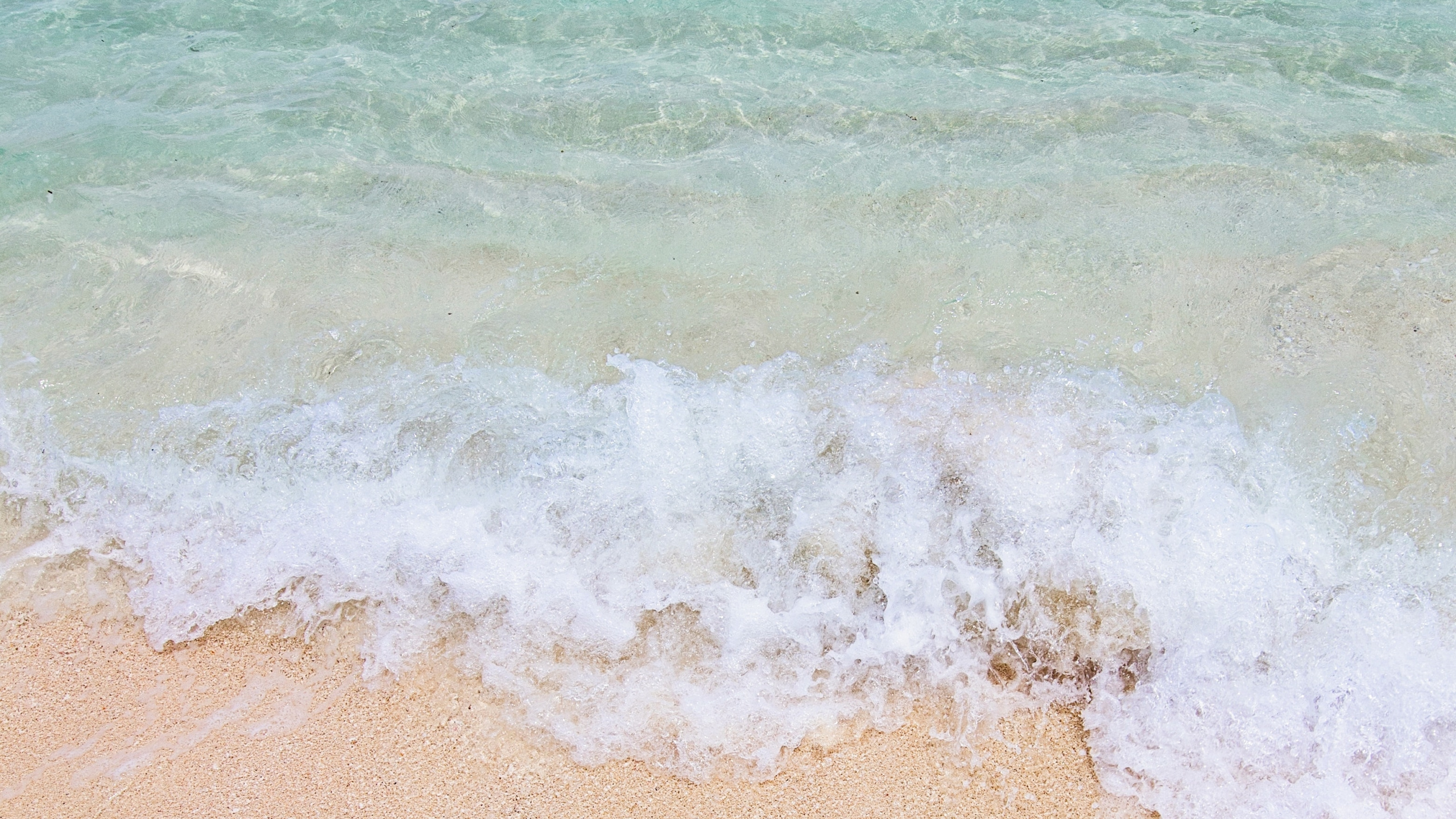 Coast, Water, Ocean, Wind Wave, Azure. Wallpaper in 2560x1440 Resolution