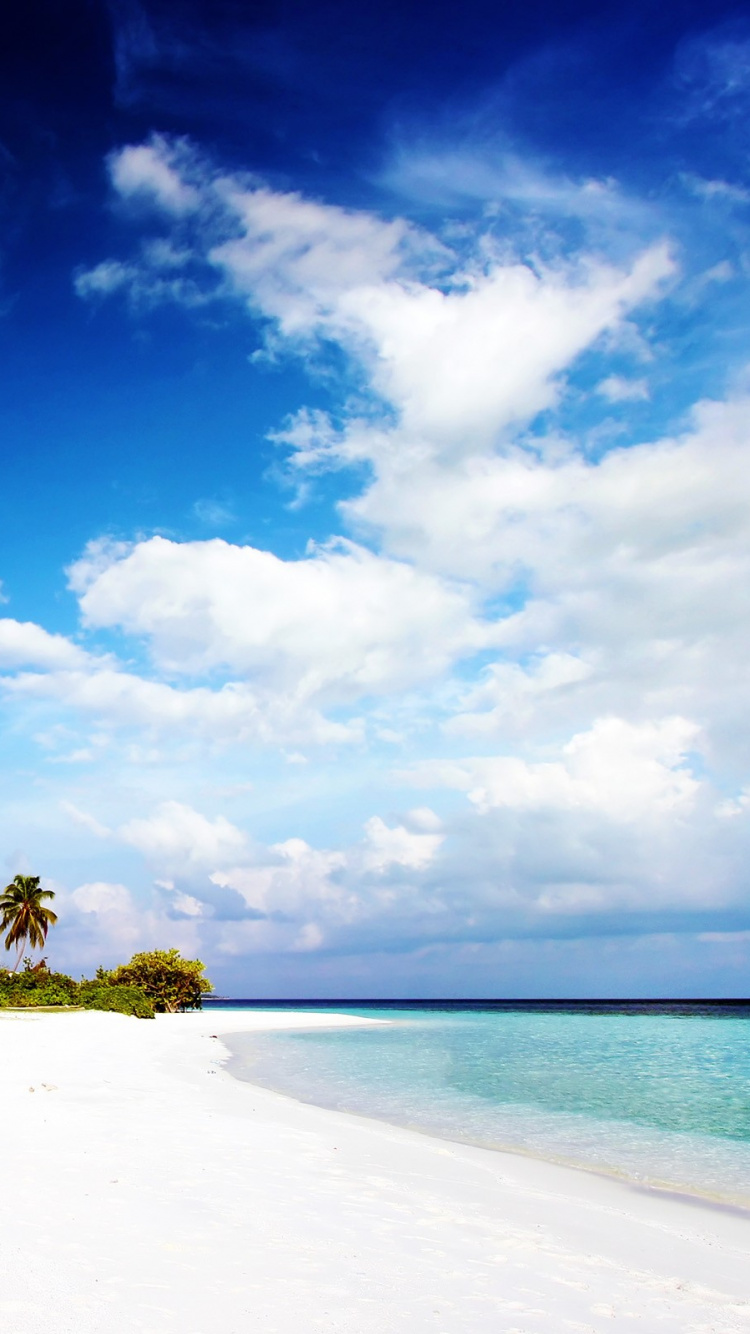 Green Trees on White Sand Beach Under Blue Sky During Daytime. Wallpaper in 750x1334 Resolution