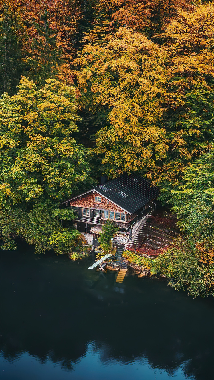 反射, 自然景观, 窗口, 木, 阳光 壁纸 750x1334 允许