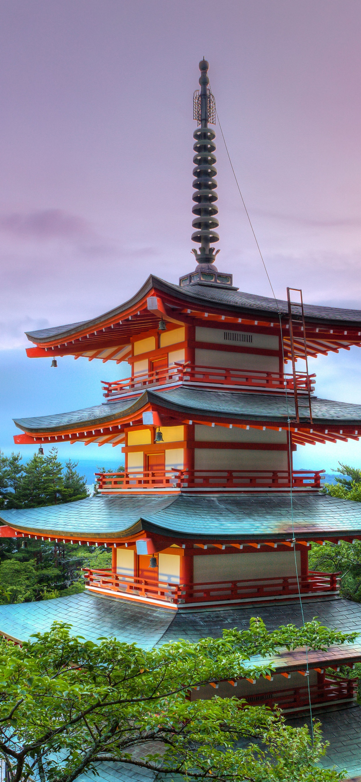 富士山, 樱花, 中国建筑, 日本建筑, 里程碑 壁纸 1242x2688 允许