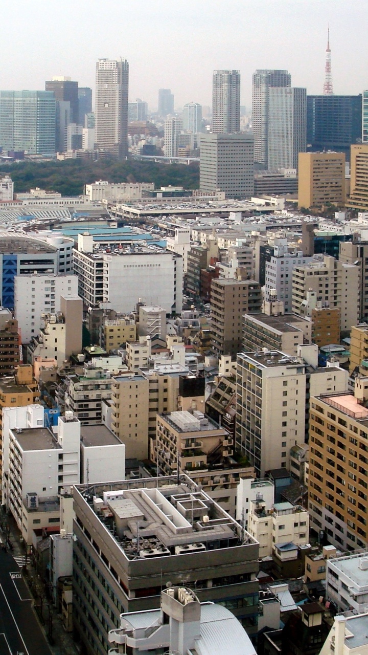 东京塔, 隅田河, 城市, 城市景观, 大都会 壁纸 720x1280 允许