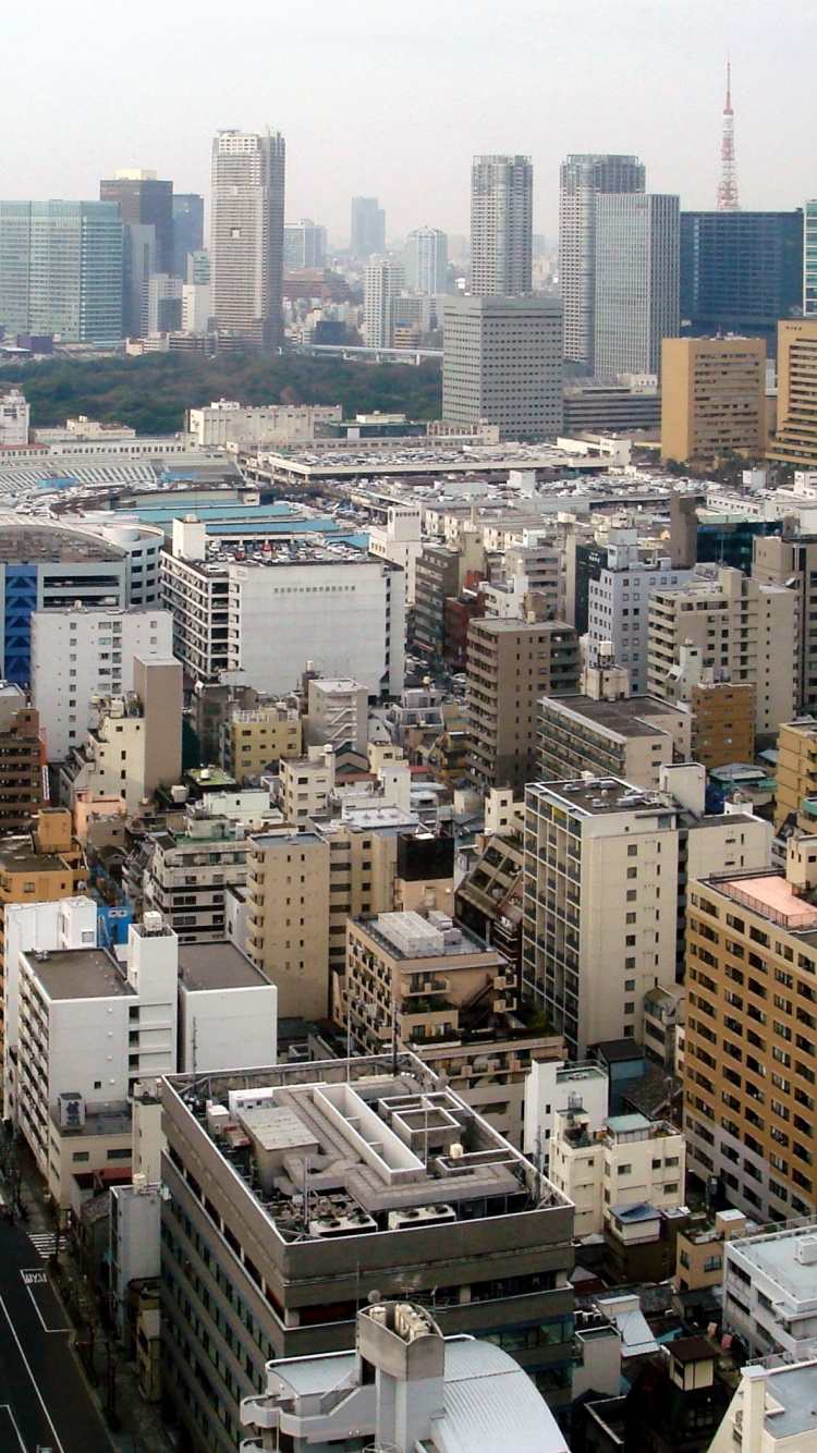 东京塔, 隅田河, 城市, 城市景观, 大都会 壁纸 750x1334 允许