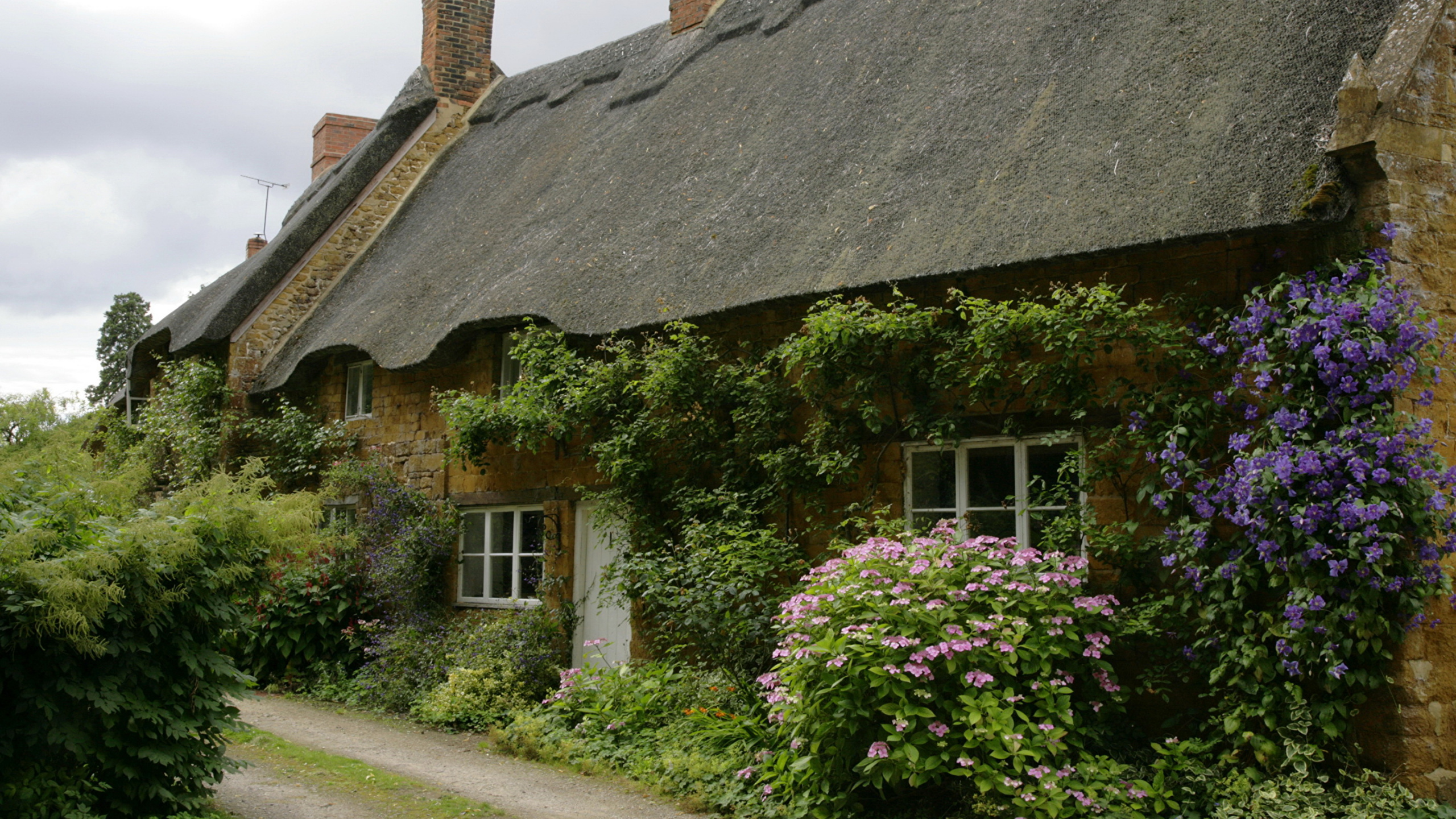 Braun-weißes Haus Mit Grünen Pflanzen. Wallpaper in 2560x1440 Resolution