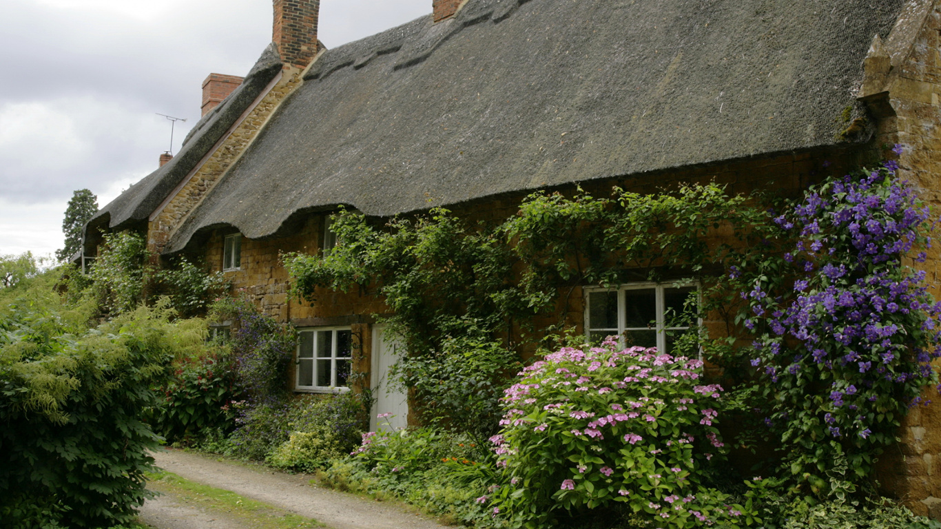 Brown and White House With Green Plants. Wallpaper in 1366x768 Resolution