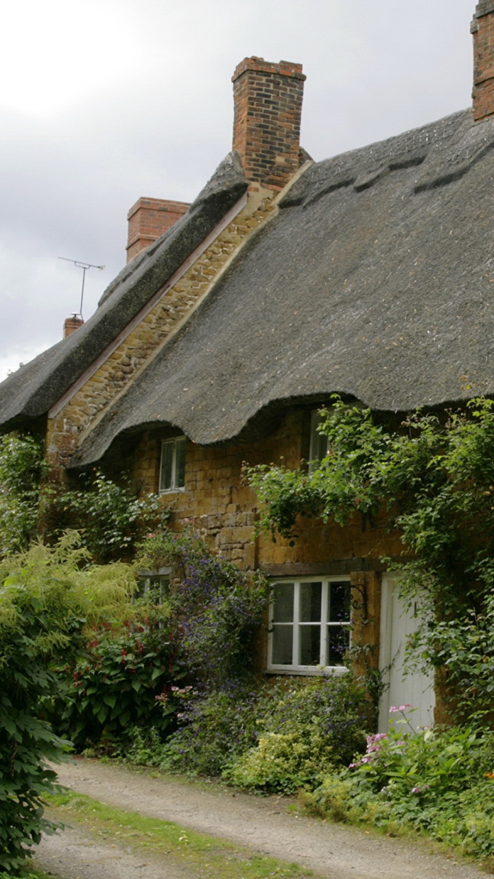 Brown and White House With Green Plants. Wallpaper in 720x1280 Resolution