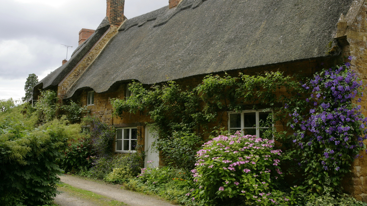 Casa Marrón y Blanca Con Plantas Verdes. Wallpaper in 1280x720 Resolution