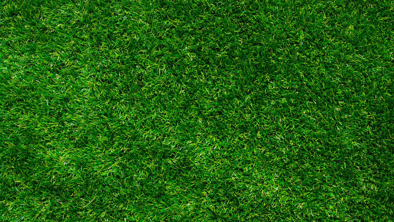 Campo de Hierba Verde Durante el Día. Wallpaper in 1280x720 Resolution