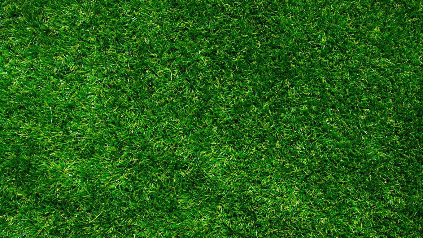 Campo de Hierba Verde Durante el Día. Wallpaper in 1366x768 Resolution