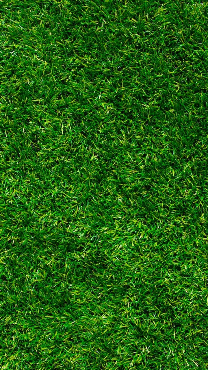 Campo de Hierba Verde Durante el Día. Wallpaper in 720x1280 Resolution