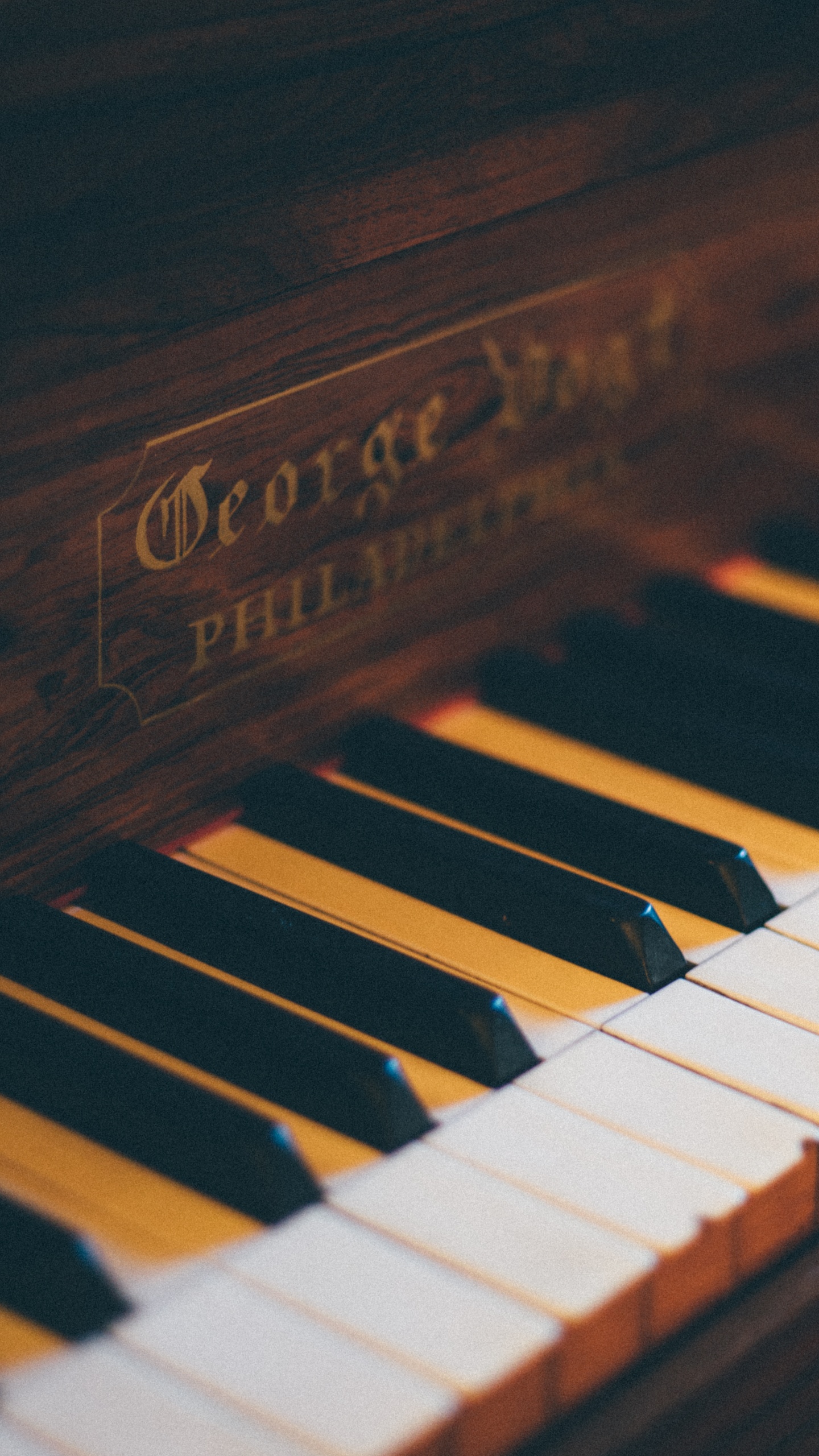 Piano, Musical Keyboard, Keyboard, Musical Instrument, Electronic Instrument. Wallpaper in 1440x2560 Resolution