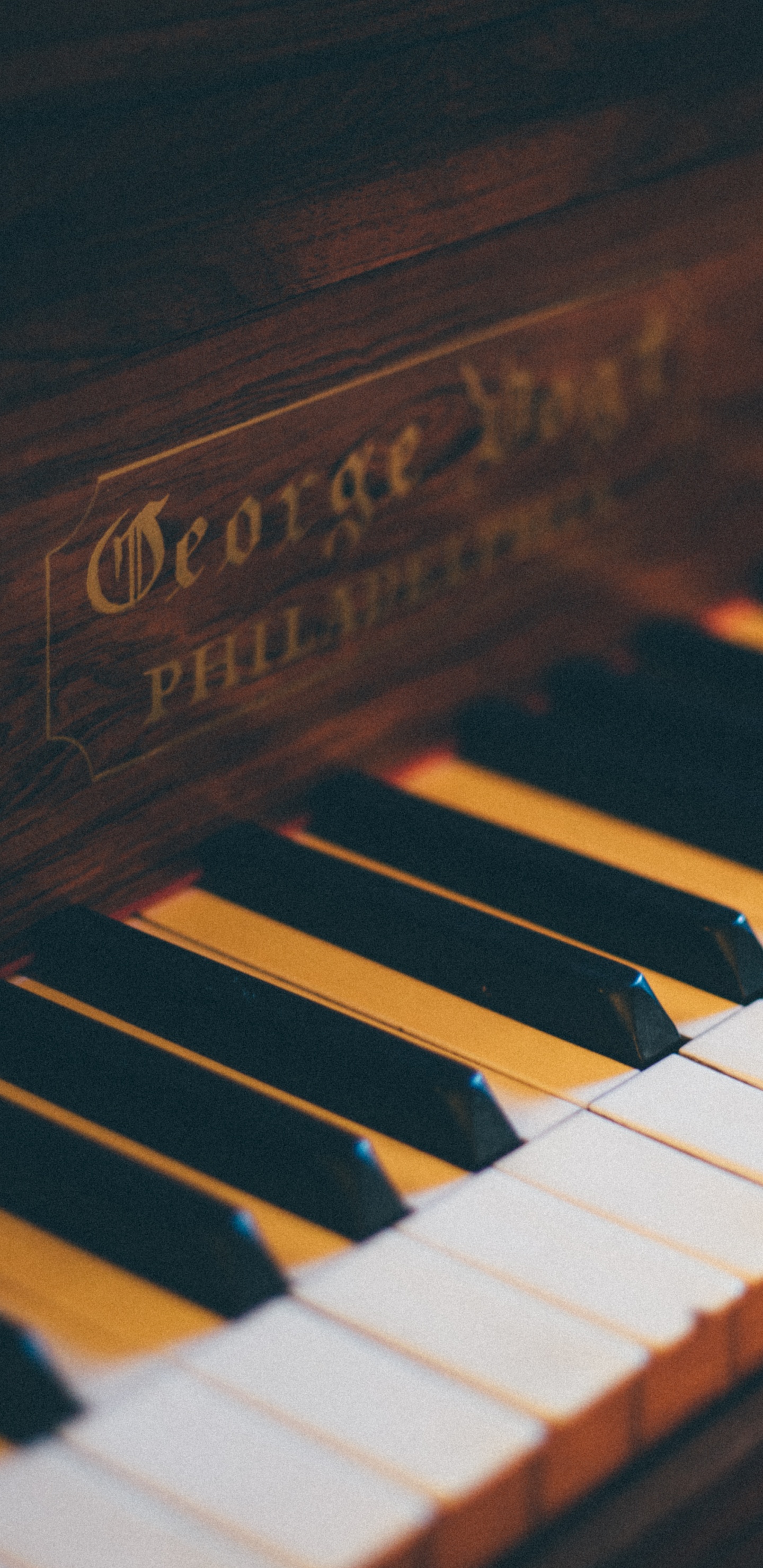 Piano, Musical Keyboard, Keyboard, Musical Instrument, Electronic Instrument. Wallpaper in 1440x2960 Resolution